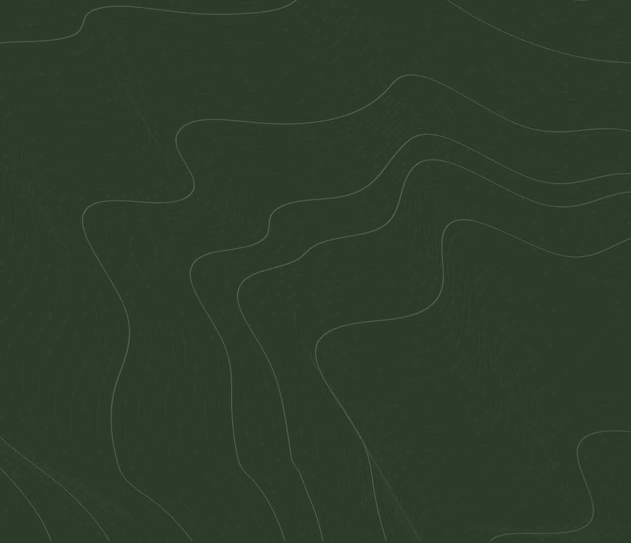 https://zyraestate.com/wp-content/uploads/2020/02/green-background-1280x1100.jpg